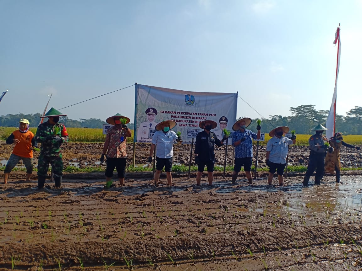 Gerakan Percepatan Tanam dan Panen Padi di Desa Kuniran, Kecamatan Sine, Kabupaten Ngawi, Jawa Timur.