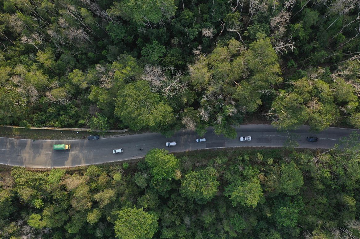  Foto aerial Taman Hutan Raya (Tahura) Bukit Soeharto di Kutai Kartanegara, Kalimantan Timur, Sabtu (31/8/2019).