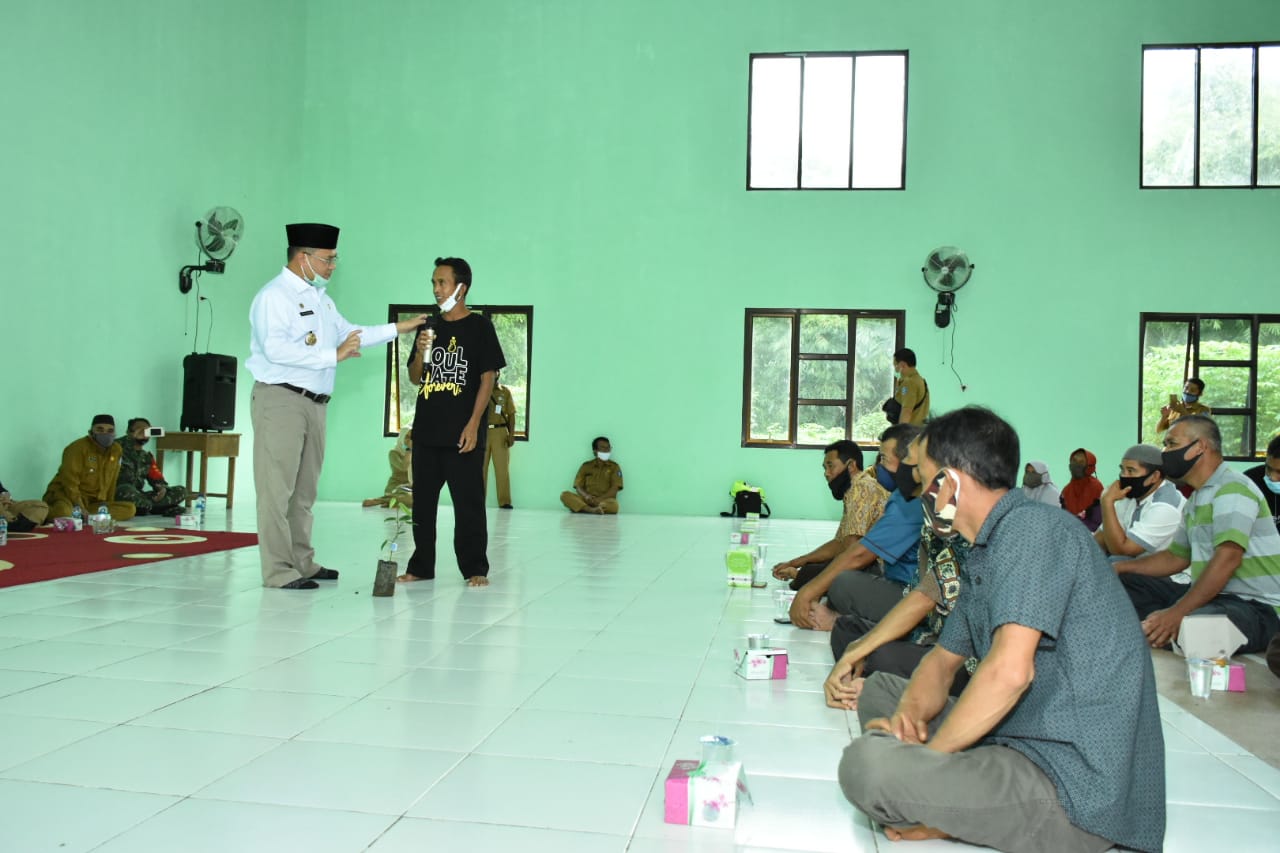 Gubernur Babel Erzaldi Rosman Djohan membagikan bibit lada kepada delapan kelompok tani di Kabupaten Bangka Barat.