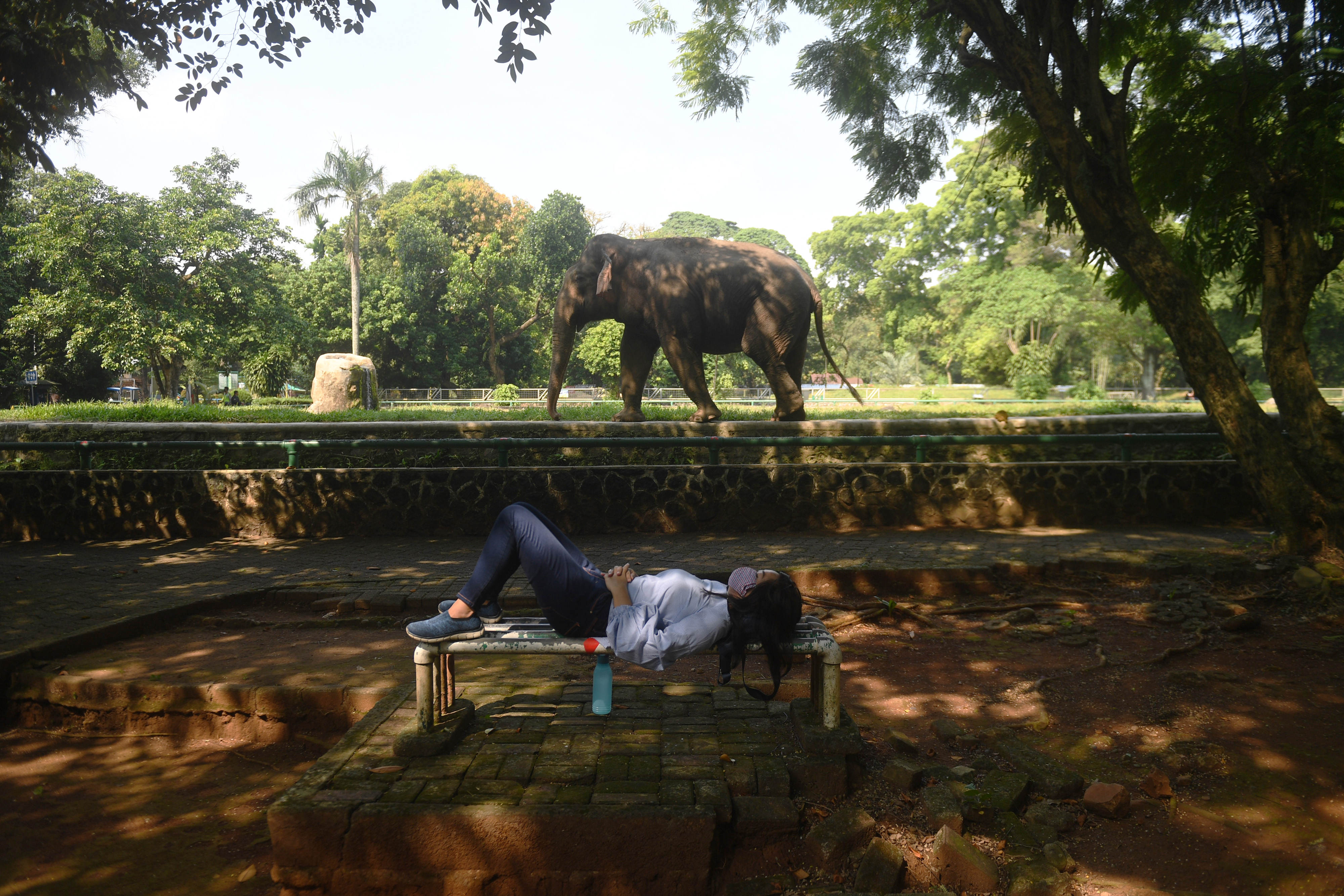 Pengunjung tertidur di samping kandang gajah di Ragunan. Hari ini pembukaan hari pertama di Ragunan setelah ditutup selama PSBB