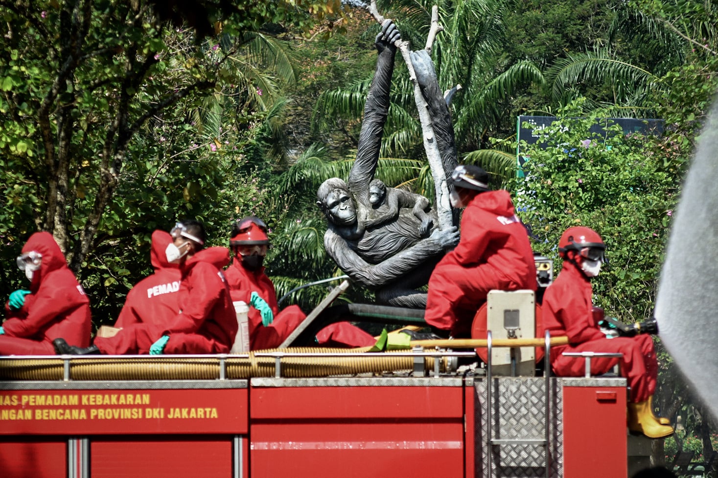 Petugas Pemadam Kebakaran (Damkar) menyemprotkan cairan disinfektan di lingkungan Taman Margasatwa Ragunan (TMR) Jakarta, Rabu, (17/6). 