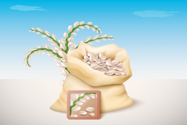 Ilustrasi bahan pokok. 