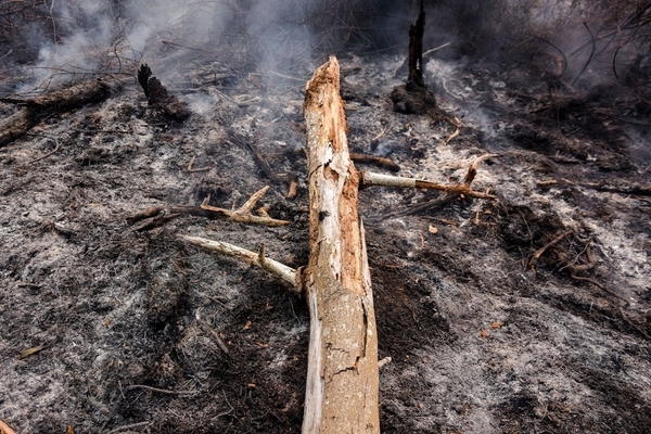 Daerah Siaga Antisipasi Karhutla