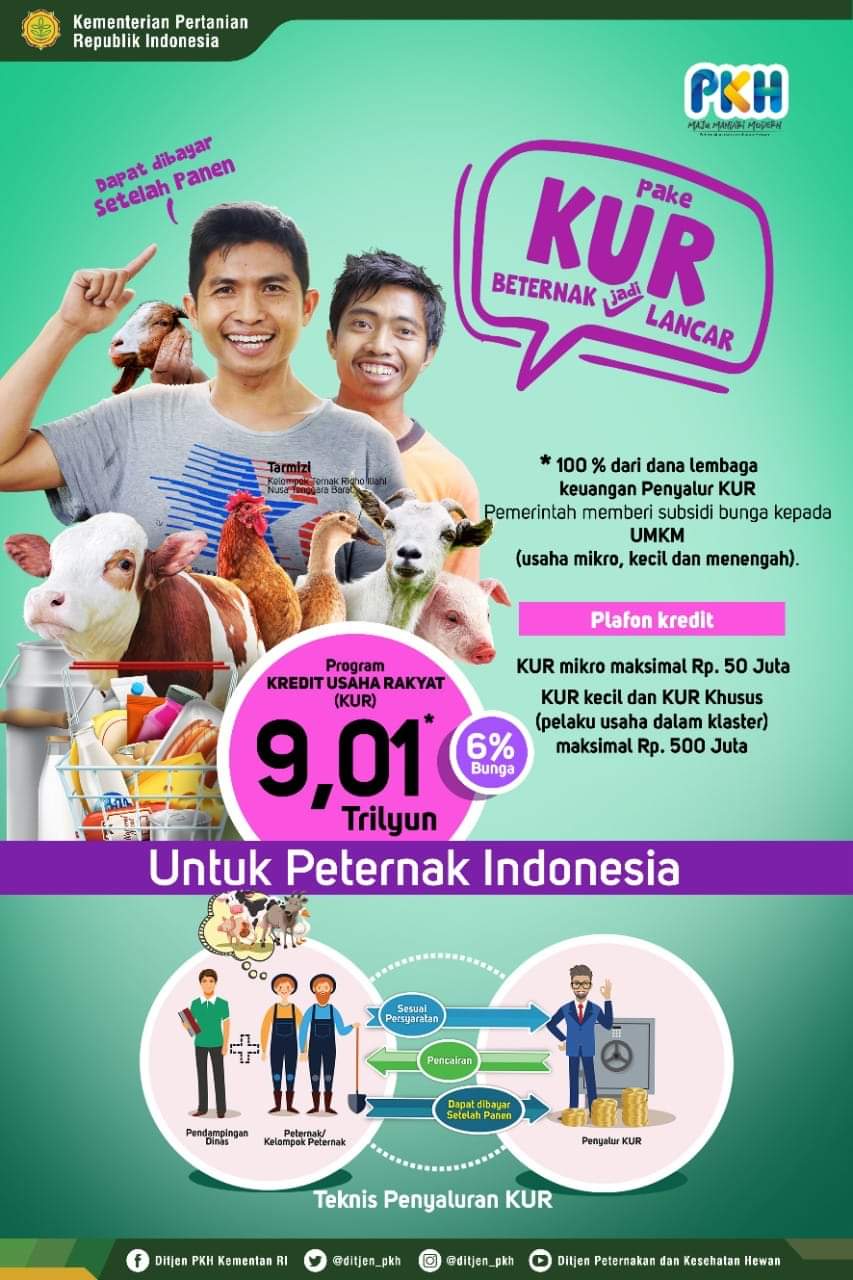 pemerintah memutuskan membebaskan pembayaran bunga dan penundaan pokok angsuran kredit usaha rakyat (KUR) untuk usaha terdampak Covid-19.