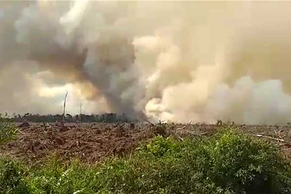 Sinergi Berhasil Atasi Kobaran Api