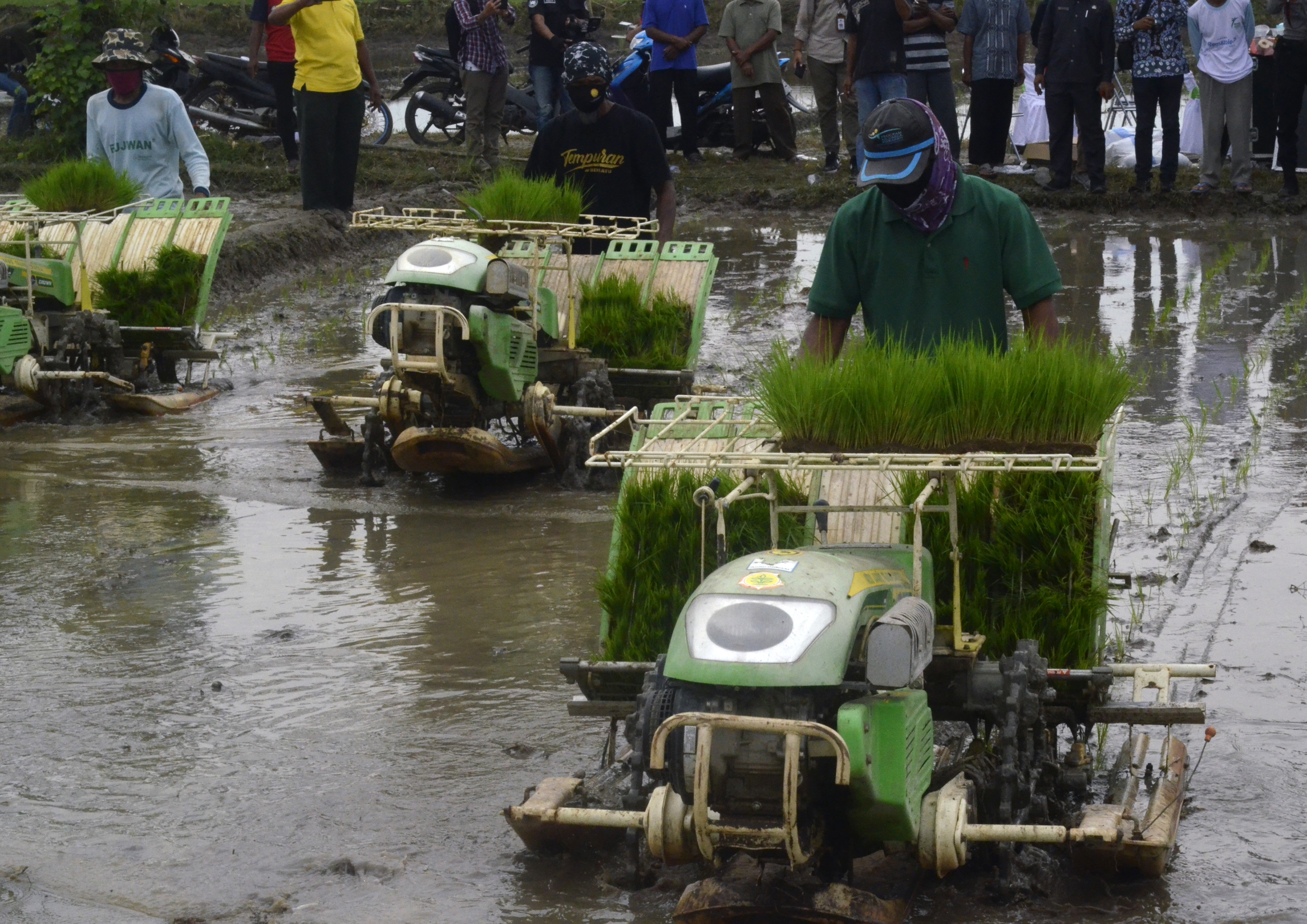 Petani menanam padi dengan mesin pertanian modern saat kunjungan kerja Menteri Pertanian Syahrul Yasin Limpo di Lampung Tengah.