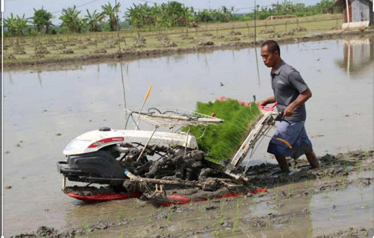 Kegiatan yang disebut Humasa Sebbel Khumaha Heba atau turun ke sawah besar-besaran dan serentak dilakukan di Kabupaten Semeuleu, Aceh.  .