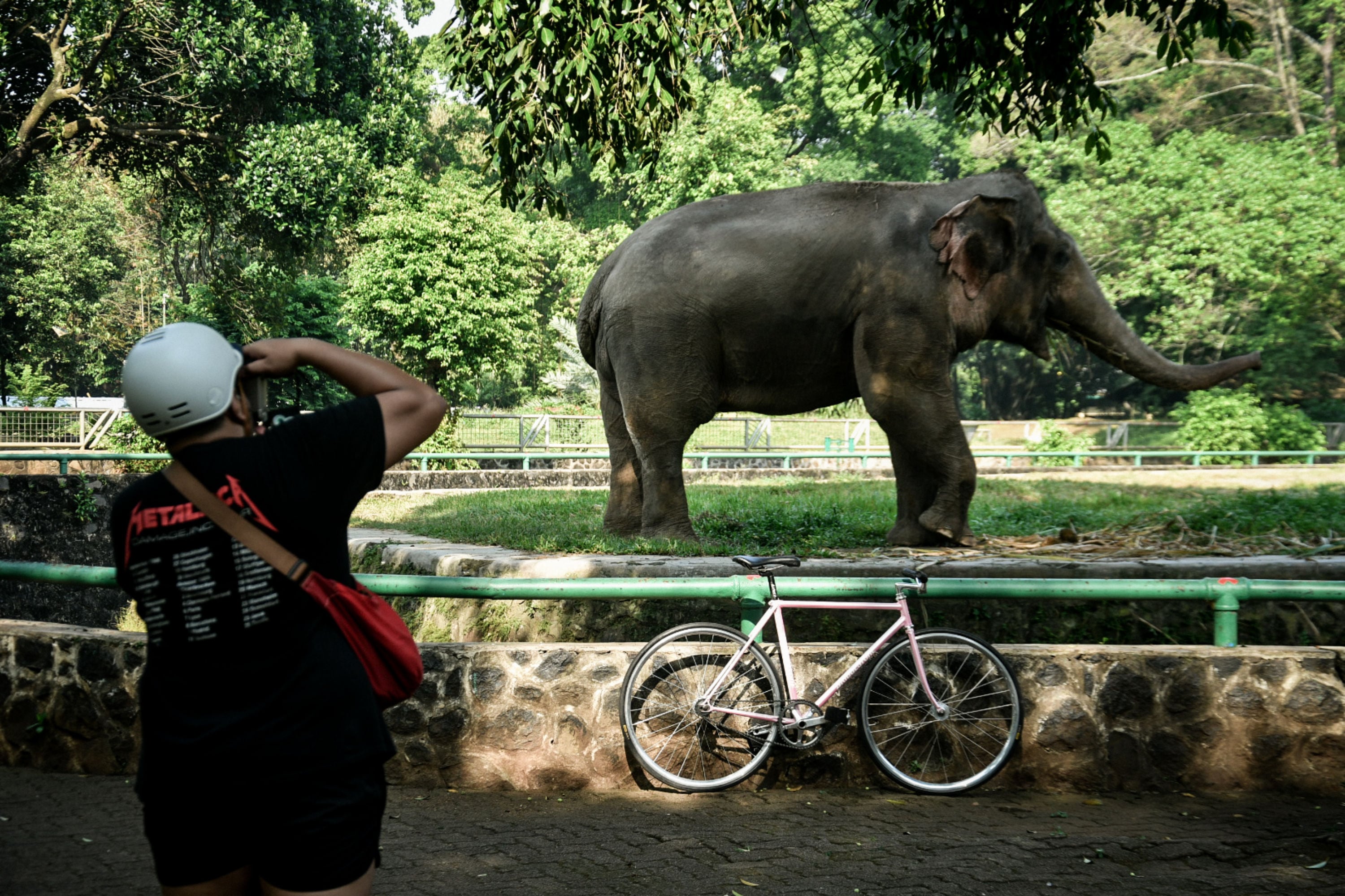 Potret suasana sepi saat hari ke-2 usai dibuka kembalinya Taman Margasatwa Ragunan, Jakarta Selatan, Minggu (21/6/2020).