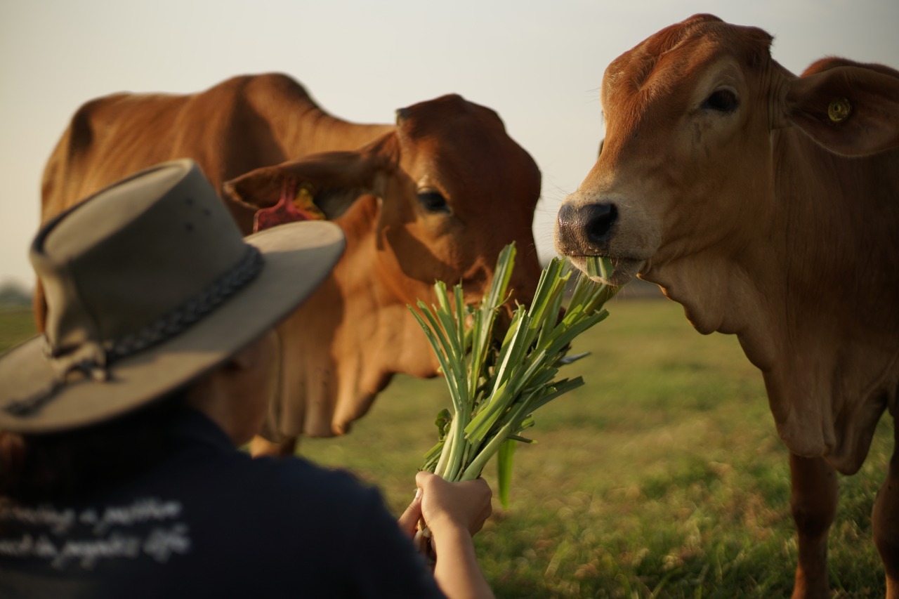 Penting! Mengonsumsi Makanan Bergizi di Masa Pandemi
