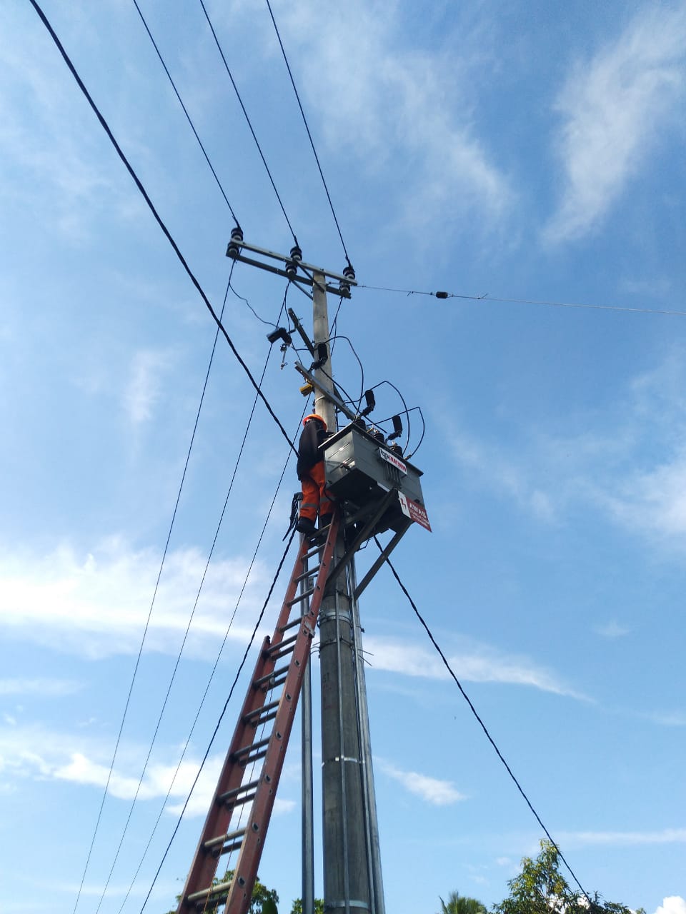 Petugas PLN tengah melakukan pengecekan rutin pada jaringan yang ada