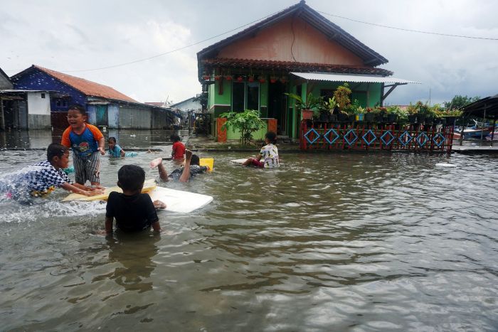 Ilustrasi banjir rob.