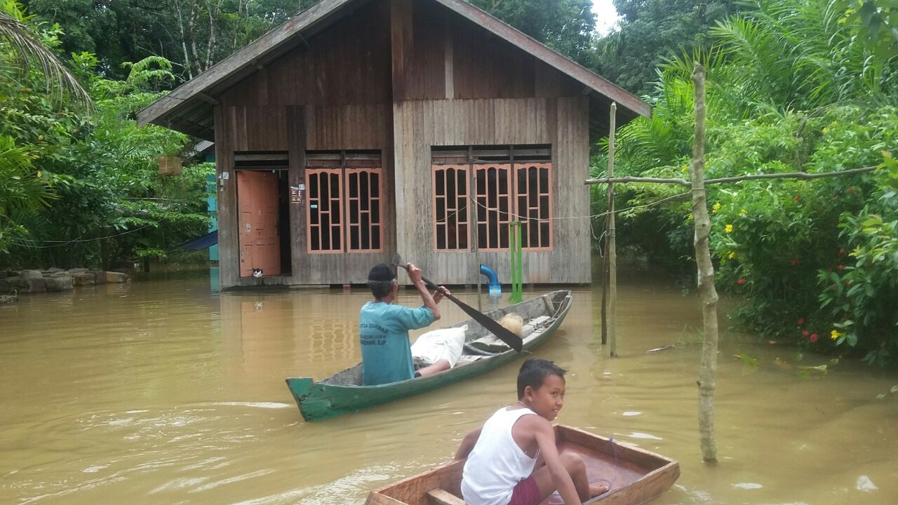 Banjir di Desa Nanga Mua, Kecamatan Arut Utara, Kabupaten Kotawaringin Barat Kalteng.
