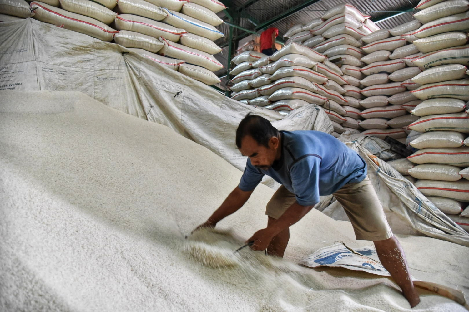 Pemerintah memperkirakan neraca beras hingga Desember 2020 masih surplus.