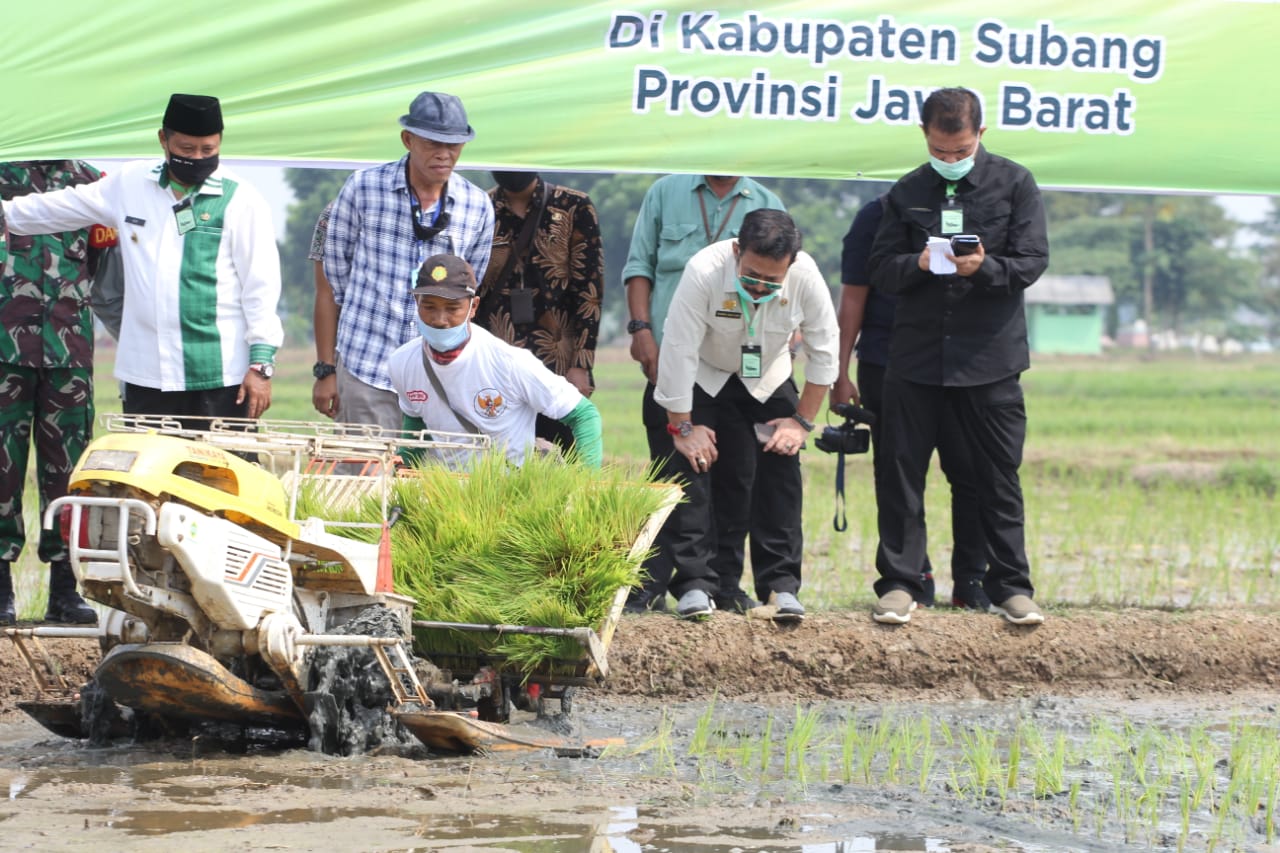 Kabupaten Subang adalah salah satu penghasil beras bagi Provinsi Jawa Barat yang menempati posisi tiga besar produksi beras nasional. 