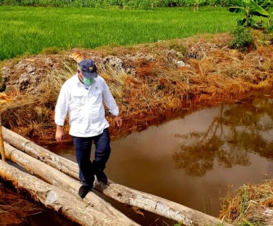 Menteri PUPR Basuki Hadimuljono meninjau lahan potensial yang merupakan kawasan eks-Pengembangan Lahan Gambut (PLG) di Kalteng.