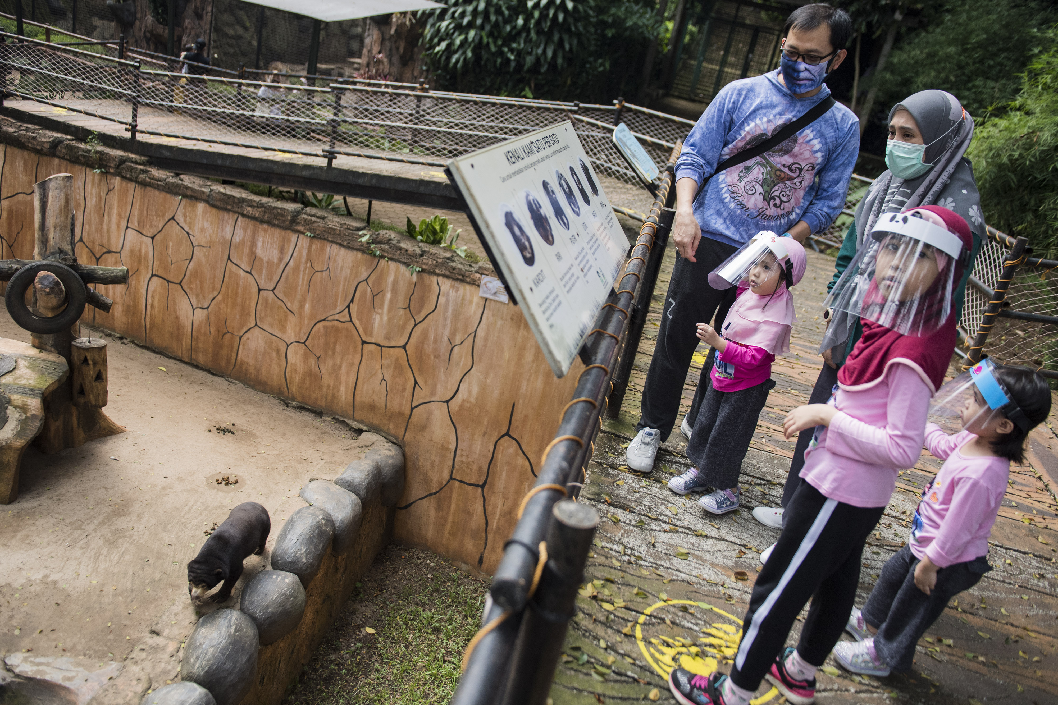  Pengunjung melihat koleksi beruang di Kebun Binatang Bandung (Bandung Zoological Garden), Bandung, Jawa Barat, Sabtu (27/6).