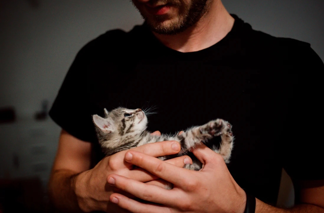 Studi dari Colorado State University mengungkap jika pria dengan kucing dianggap ‘kurang maskulin’ oleh perempuan di aplikasi kencan.