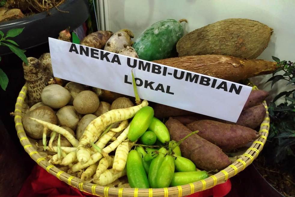 Umbi-umbian.