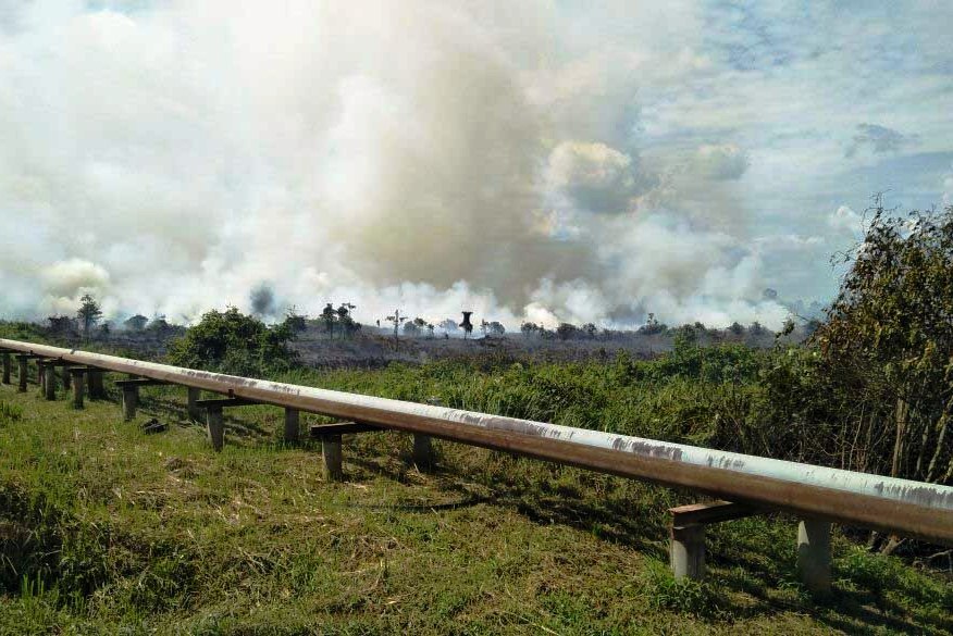 Asap tebal akibat kebakaran lahan gambut membubung tinggi di lahan gambut di Kabupaten Tanjungjabung Timur, Jambi, tahun lalu.