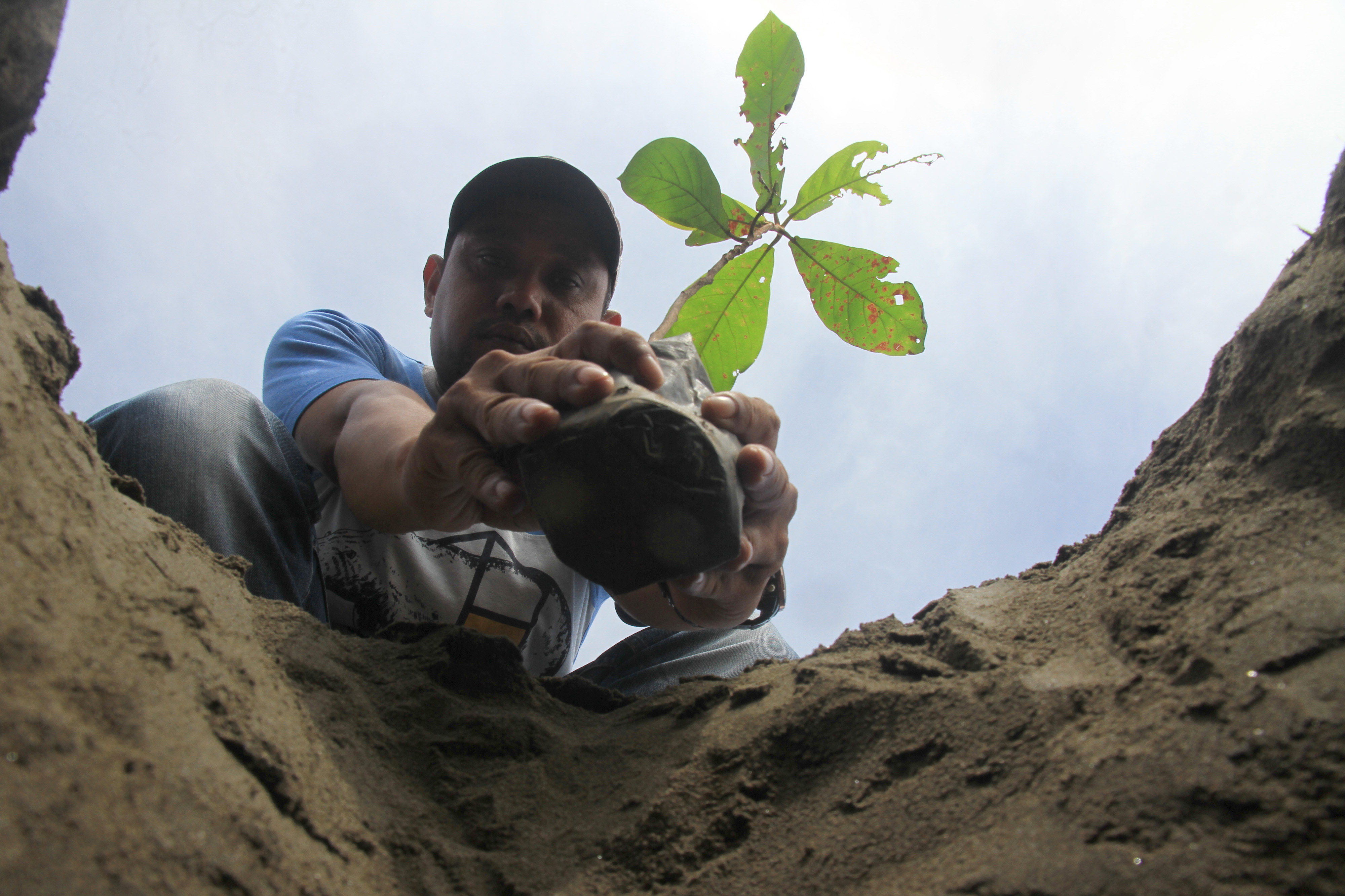 Beragam cara memperingati Hari Lingkungan Hidup yang jatuh setial 5 Juni.