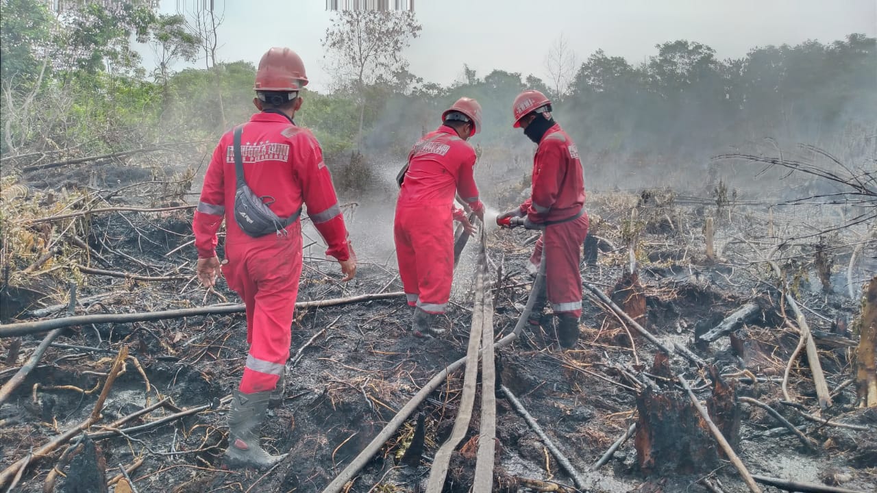 Petugas berupaya memadamkan Kebakaran hutan