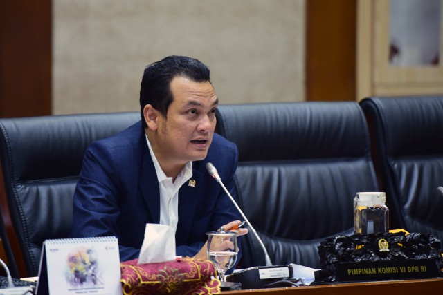 Wakil  Ketua Komisi VI DPR RI Martin Manurung.