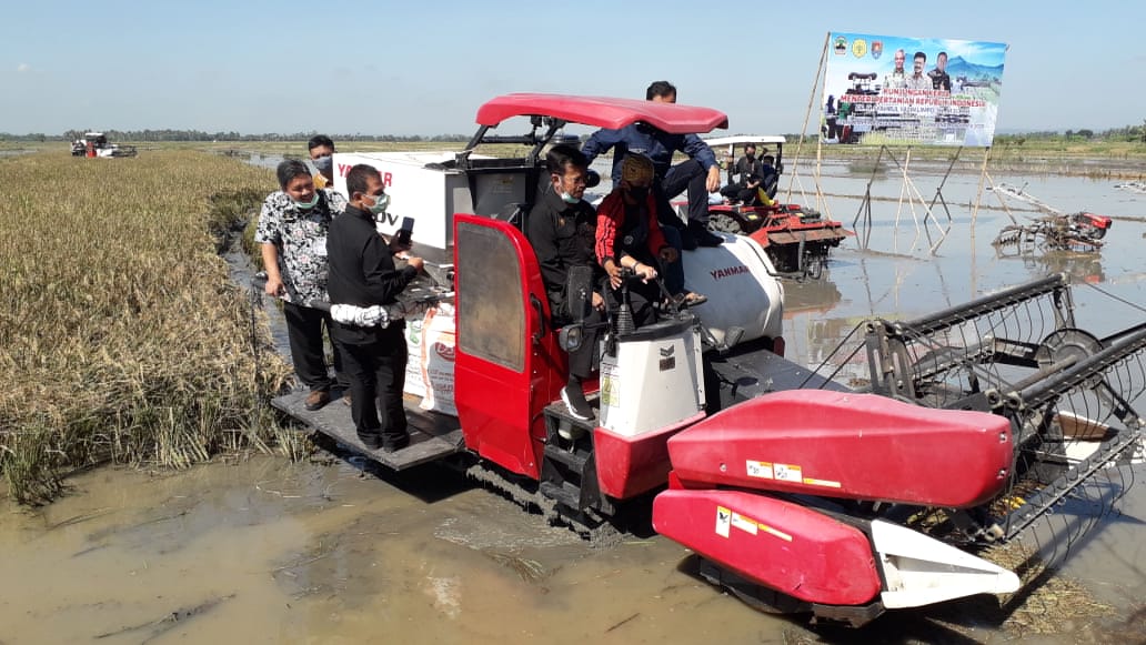Mentan Syahrul Yasin Limpo melakukan panen sekaligus percepatan tanam padi di Cilacap, Jawa Tengah.