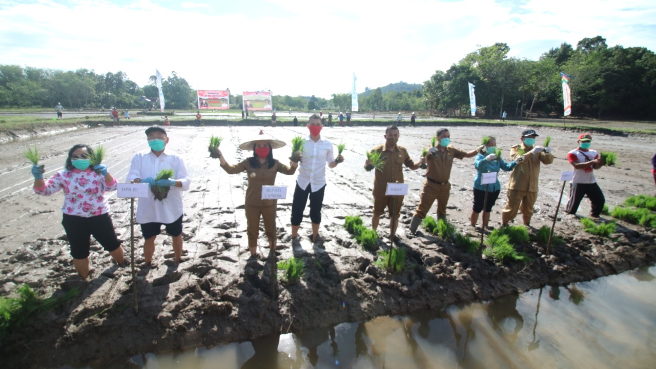 Acara tanam padi bersama Kelompok Tani Coba Maju di Takiukng, Desa Sidas, Kecamatan Sengah Temila, Kabupaten Landak, Kalimantan Barat.