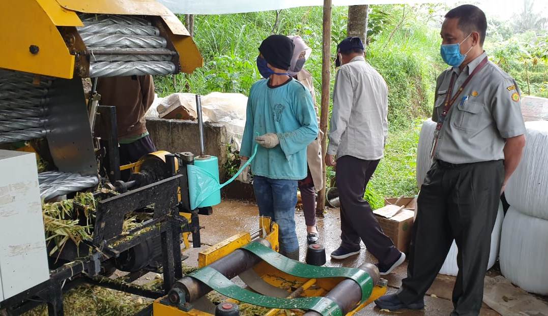 Ditjen PKH Kementan, Makmun mengatakan, kegiatan kemandirian pakan penting dilakukan. 