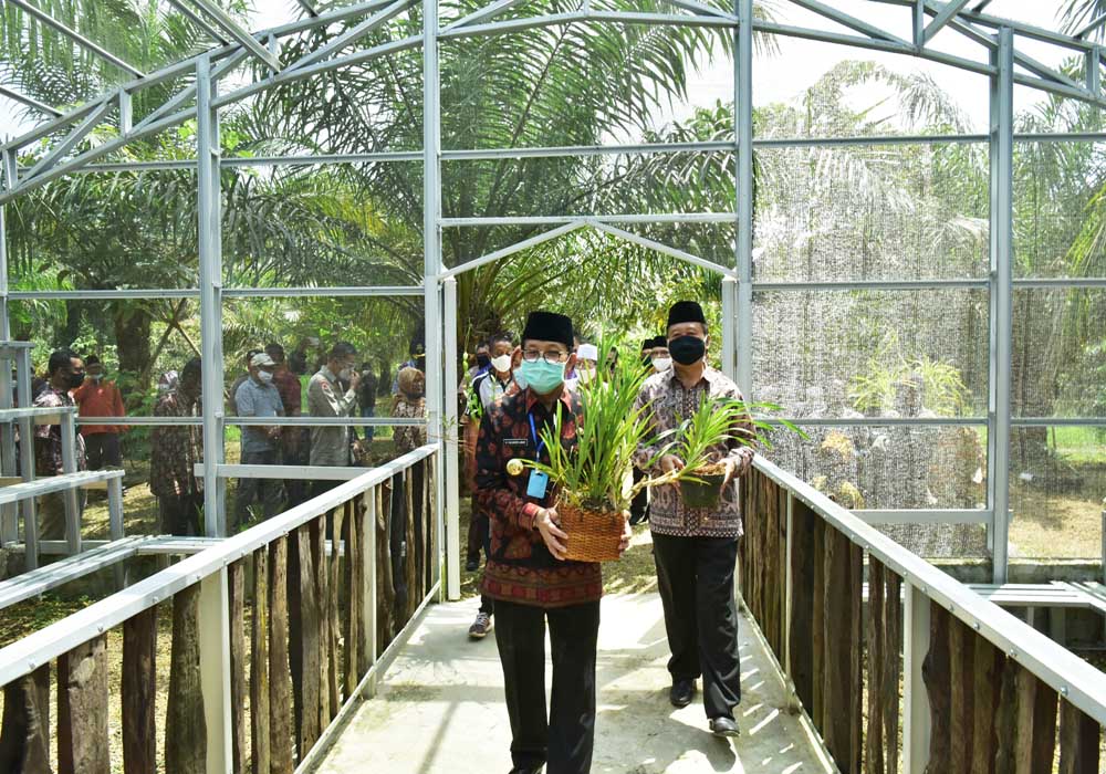 Swadaya Warga Bangun Eduwisata Taman Anggrek Alam