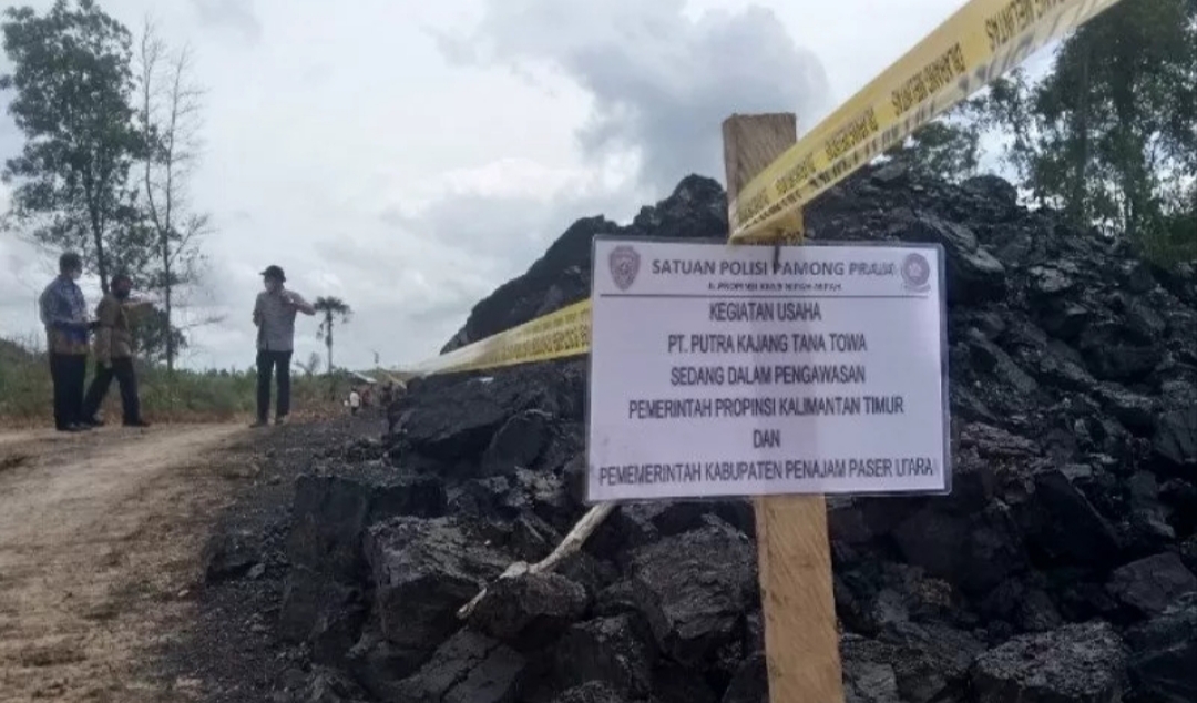 Operasi perusahaan tambang batubara tanpa izin di Kecamatan Sepaku, Kabupaten Penajam Paser Utara dihentikan pemerintah kabupaten setempat. 