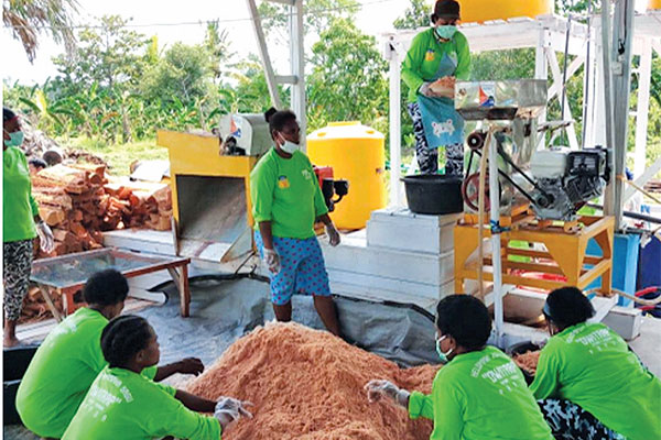 Panganan lokal sagu adalah salah satu dari bagian diversifikasi pangan yang dikembangkan Kementan.   