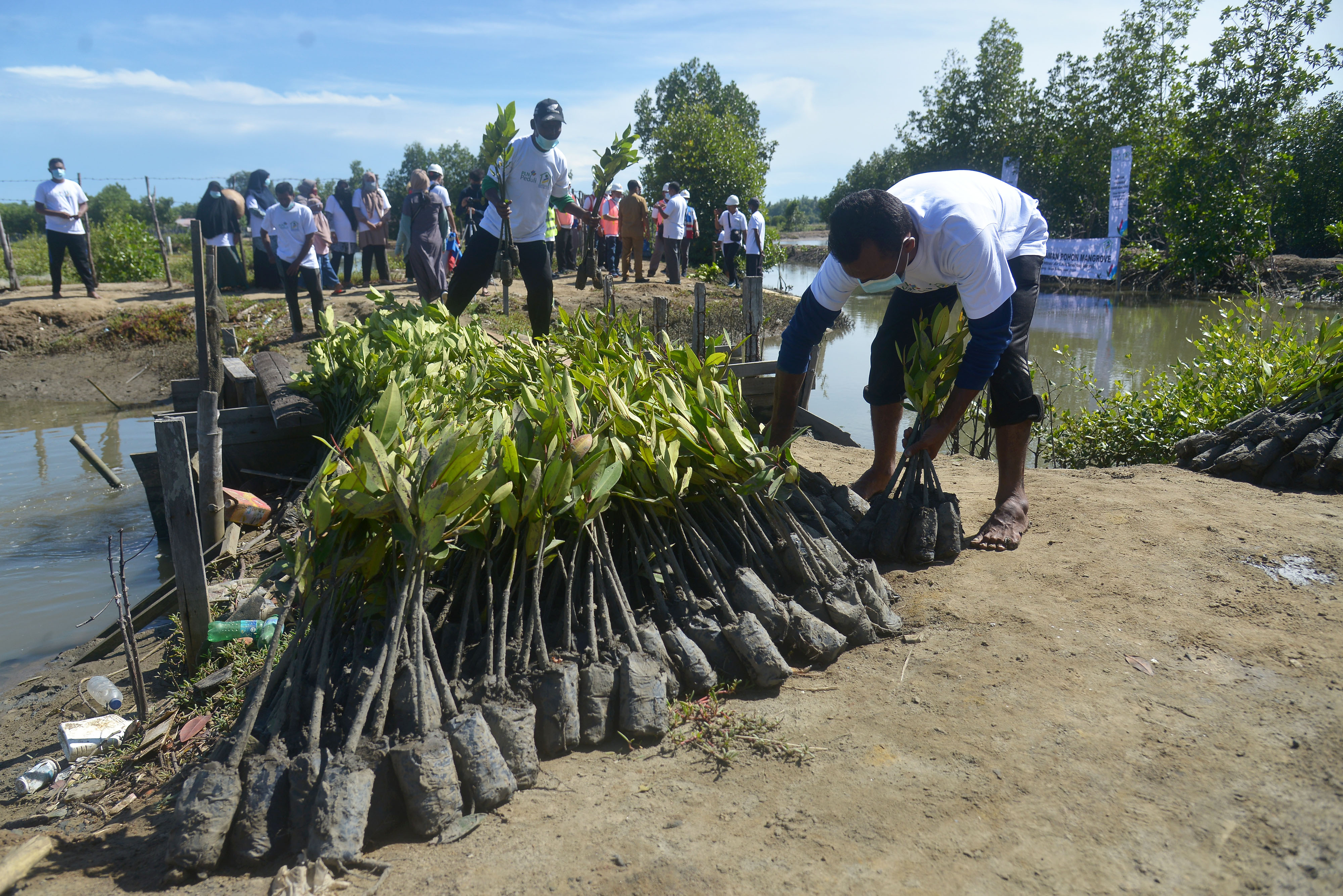 Warga bersiap menanam bibit manggrove di lahan tambak Desa Lam Ujung, Kecamatan Baitussalam, Kabupaten Aceh Besar, Aceh, Senin (8/6).