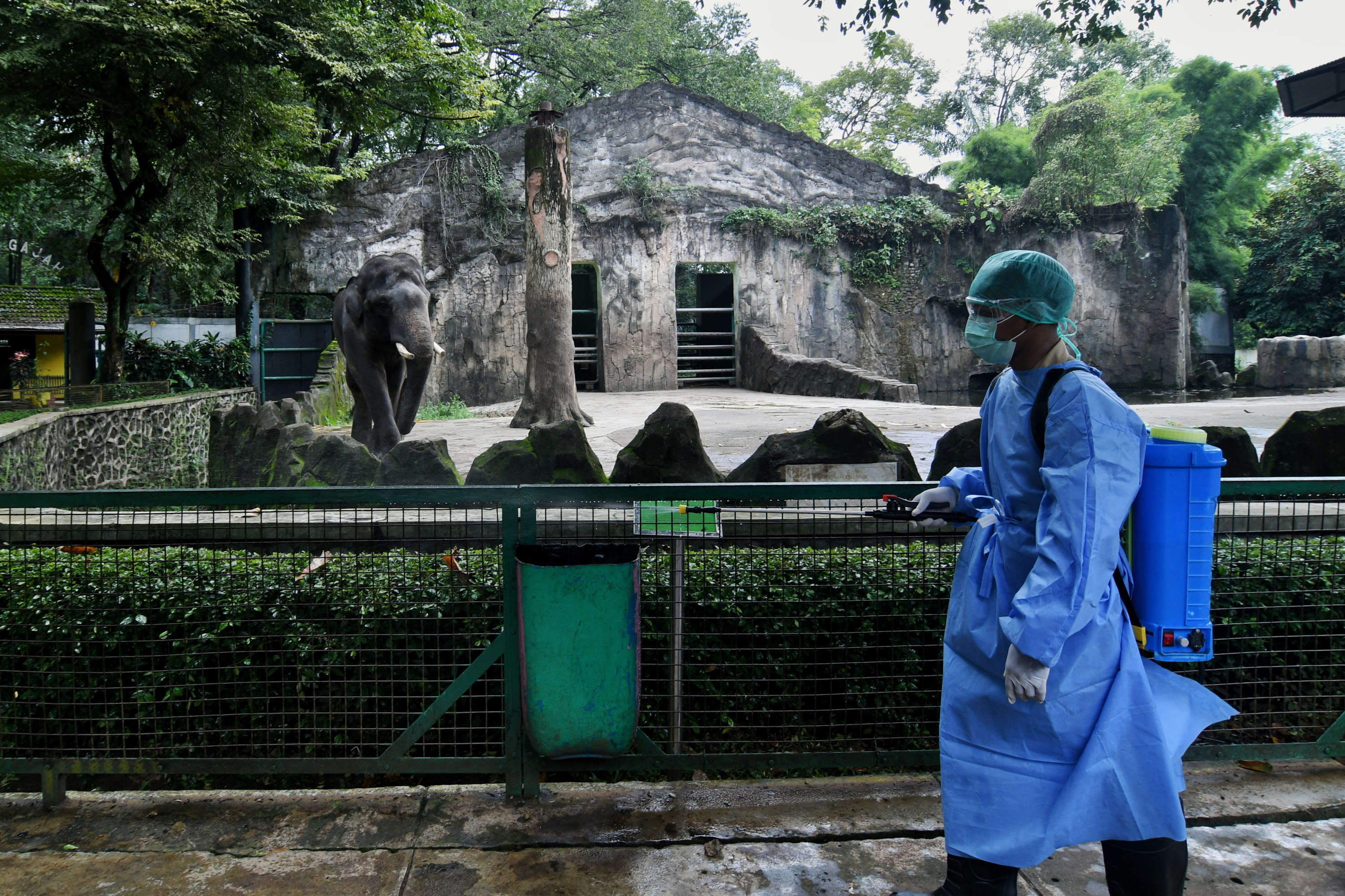 Dinas Penanggulangan Kebakaran dan Penyelamatan DKI Jakarta akanmelakukan penyemprotan disinfektan di Ragunan besok