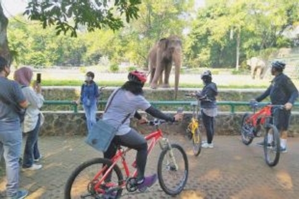 Warga mengunjungi Taman Margasatwa Ragunan yang mulai beroperasi di masa transisi pembatasan sosial berskala besar (PSBB) di Jakarta, kemari