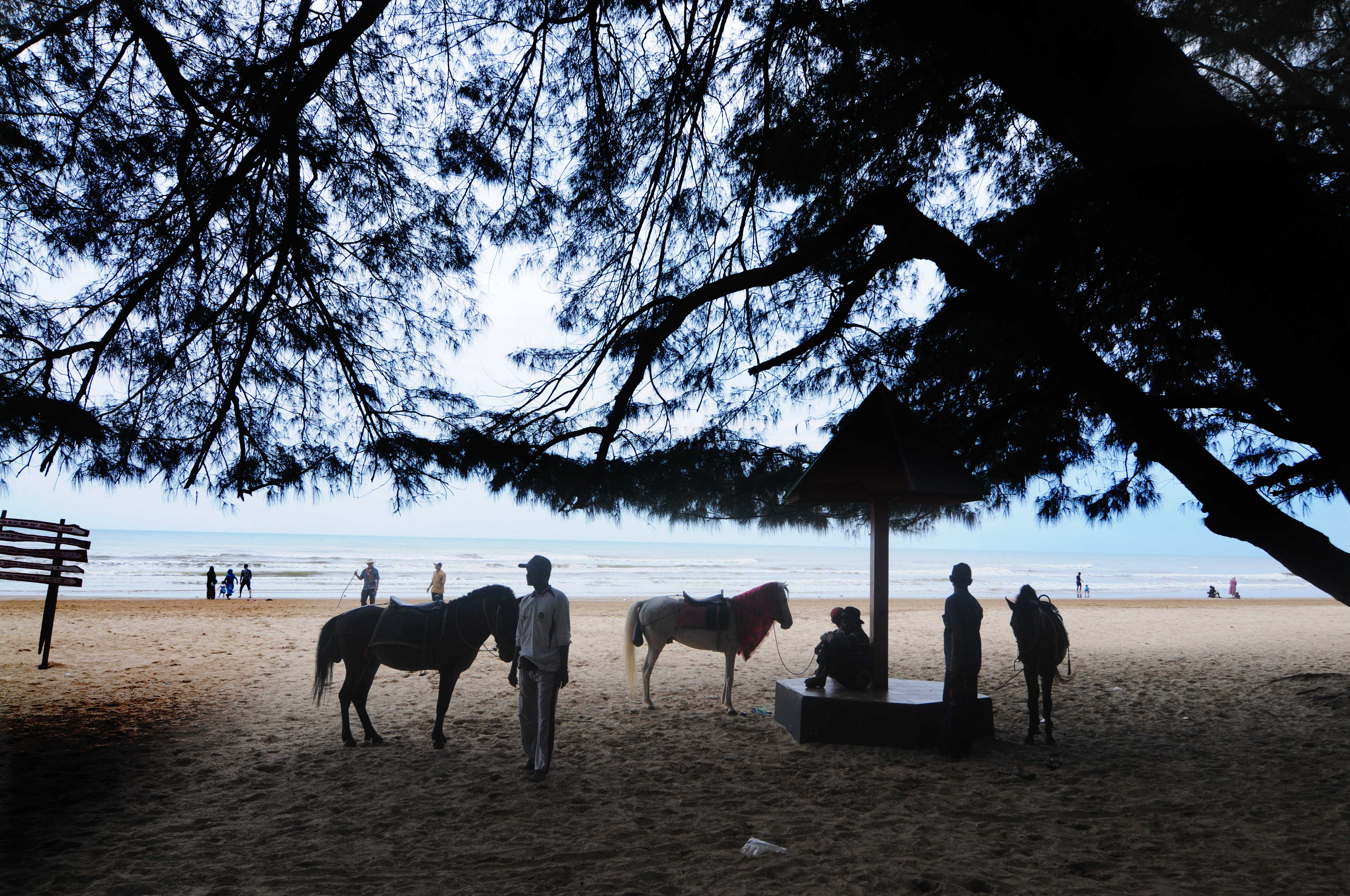 Pemilik kuda tunggangan menunggu pengunjung yang akan menggunakan jasanya di Pantai Wisata Lombang, Sumenep, Jawa Timur, Minggu (9/2)