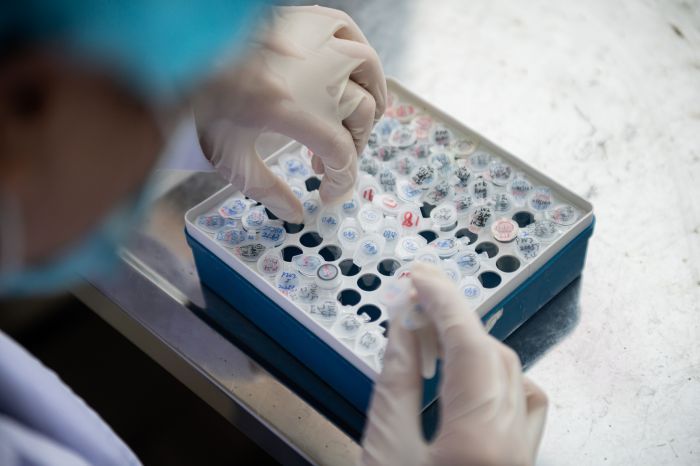 Ilustrasi peneliti yang sedang melakukan pengembangan vaksin covid-19.