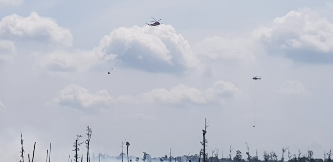 Sinar Mas mengirimkan empat helikopter untuk membantu pemadaman karhutla di Pelalawan, Riau
