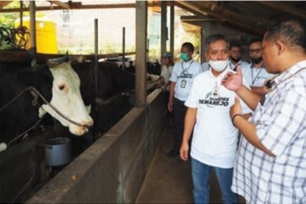 BRI Perkuat Ketahanan Pangan Usaha UMKM Malang dan Kediri