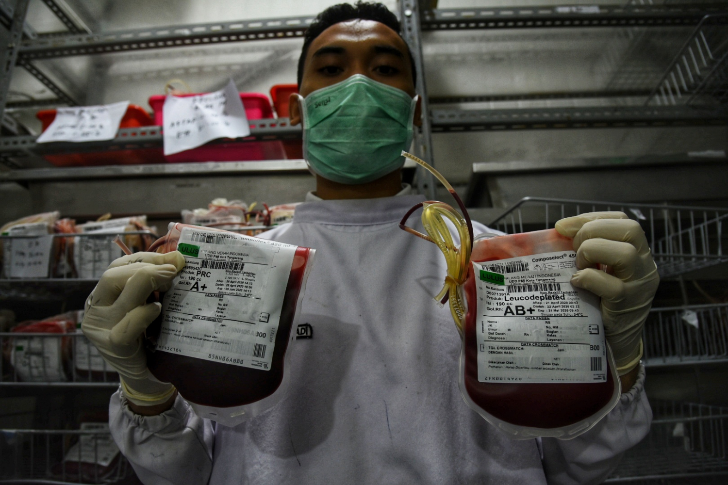 Petugas PMI Kota Tangerang menunjukkan kantong darah. WHO menyebutkan selama pandemi korona suplai darah turun hingga 30%.