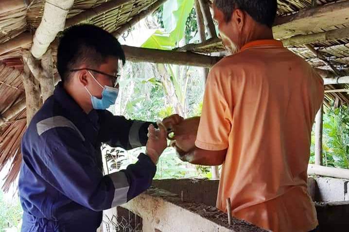 Petugas suntikkan vaksin ke ternak babi.