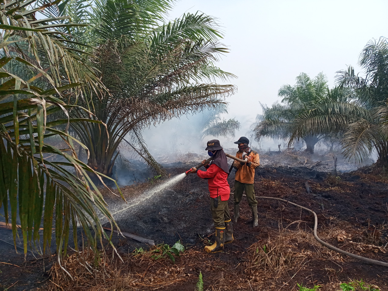 Sosok Kartini dari Manggala Agni Siaga Mencegah Karthula  Srikandi Manggala Agni Gustia Ningsih