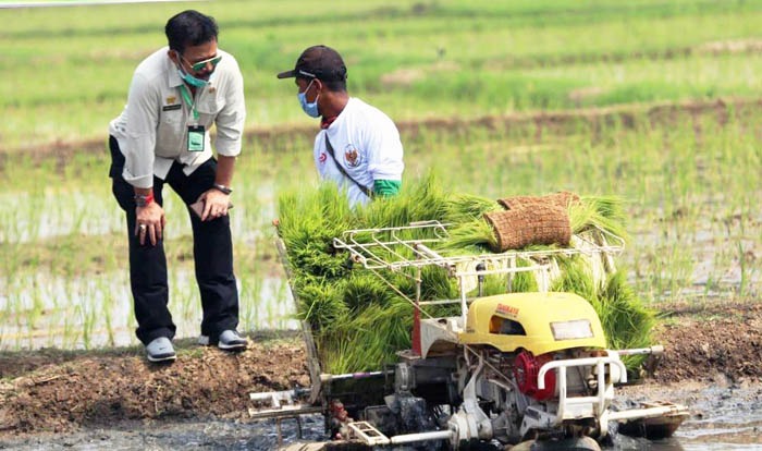 Menteri Pertanian Syahrul Yasin Limpo berdialog dengan petani di Tuban, Jawa Timur.