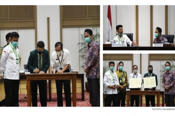 Kementan-IDI Kolaborasi Penelitian Eucalyptus