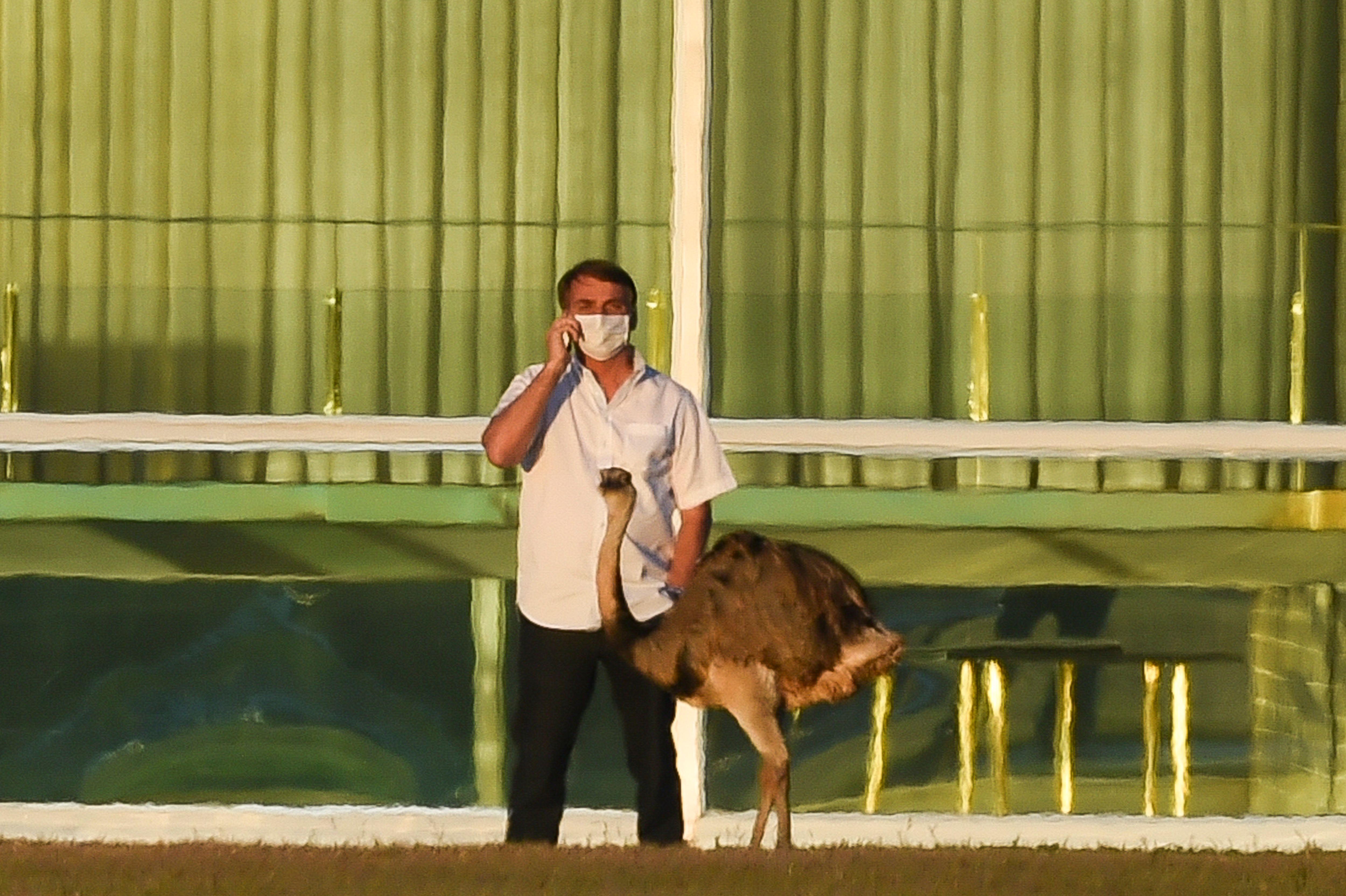Presiden Brasil Jair Bolsonaro
