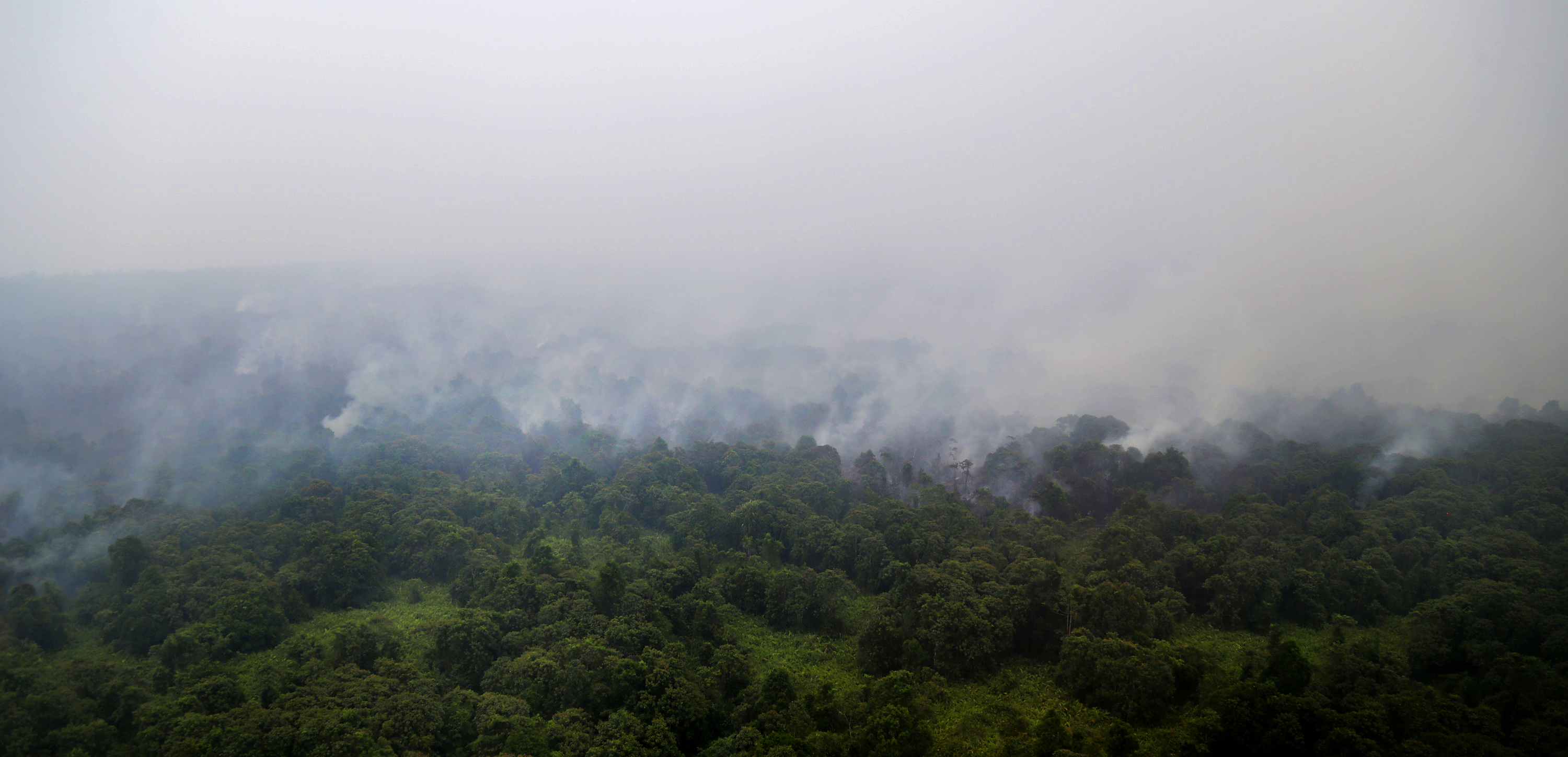 KEBAKARAN HUTAN LINDUNG BANGKA BELITUNG: Foto udara kebakaran hutan lindung di Kepulauan Bangka, Bangka Belitung. Jumat (23/10)