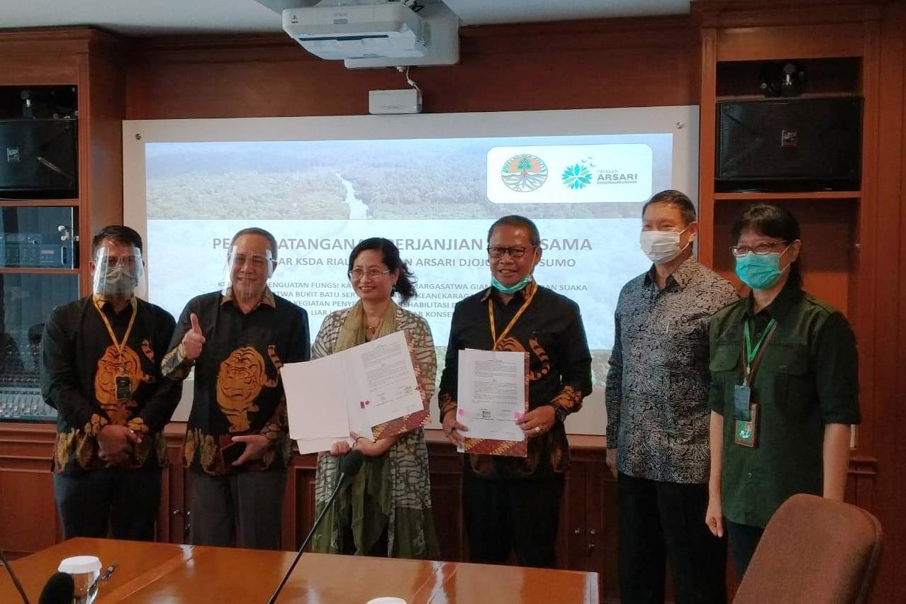 BBKSDA Riau bersama Yayasan Arsari Djojohadikusumo menyepakati pembangunan pusat konservasi harimau sumatra di Siak dan Bengkalis.