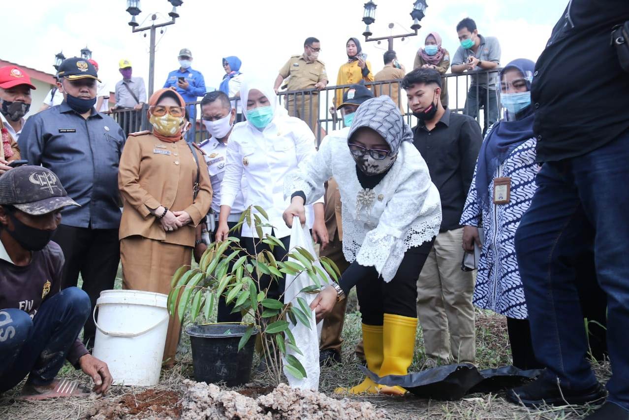  Wakil Wali Kota Palembang Fitrianti Agustinda dan Anggota DPD RI Arniza Nilawati, menanam ratusan pohon buah di kawasan wisata Pulau Kemaro