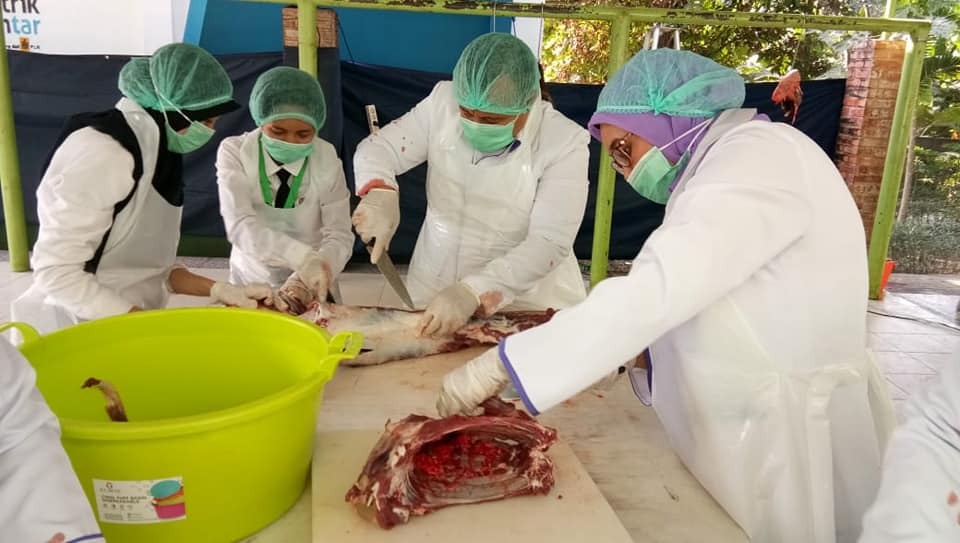 Untuk memantau kesehatan hewan kurban, tim terdiri atas 41 orang dokter hewan dan paramedis untuk diturunkan ke di wilayah Jabodetabek.