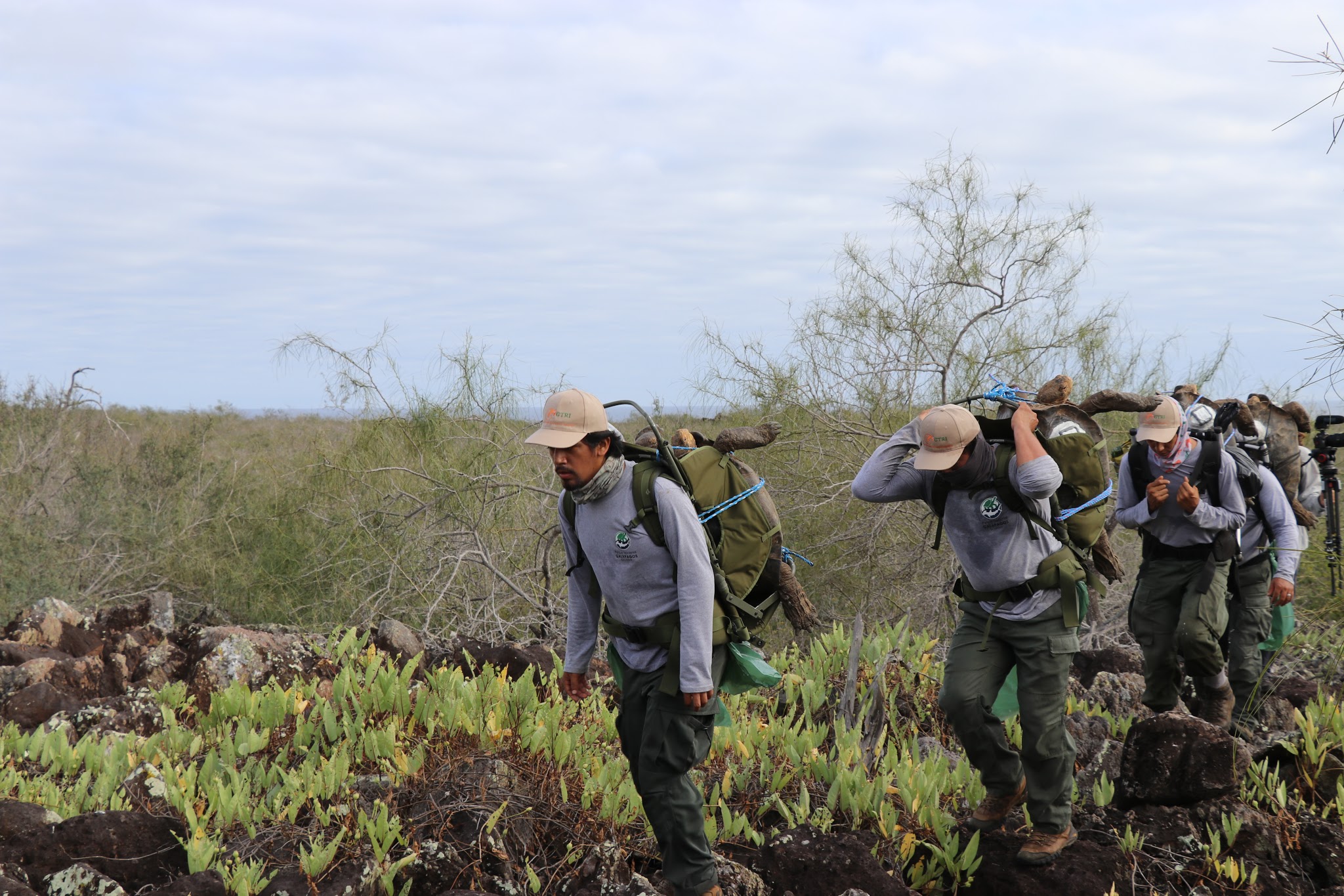 Sejumlah jagawana melakukan aktivitas di Taman Nasional Galapagos